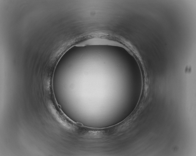 X0000112350057200908201449