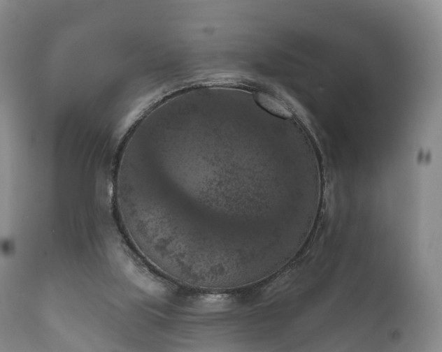X0000112350059200908201449
