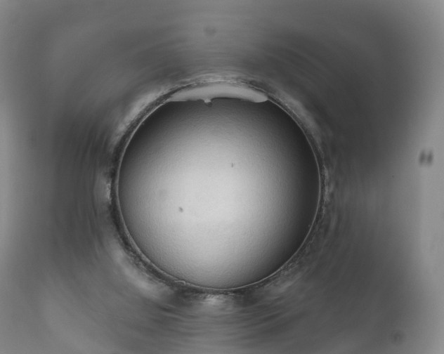 X0000112350060200908201449