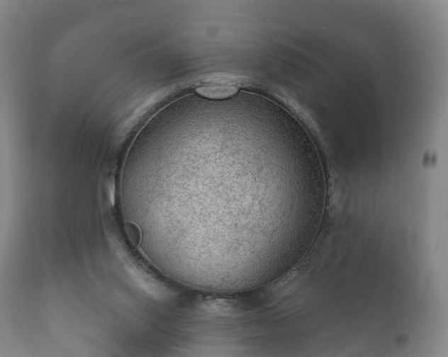 X0000112350062200908201449