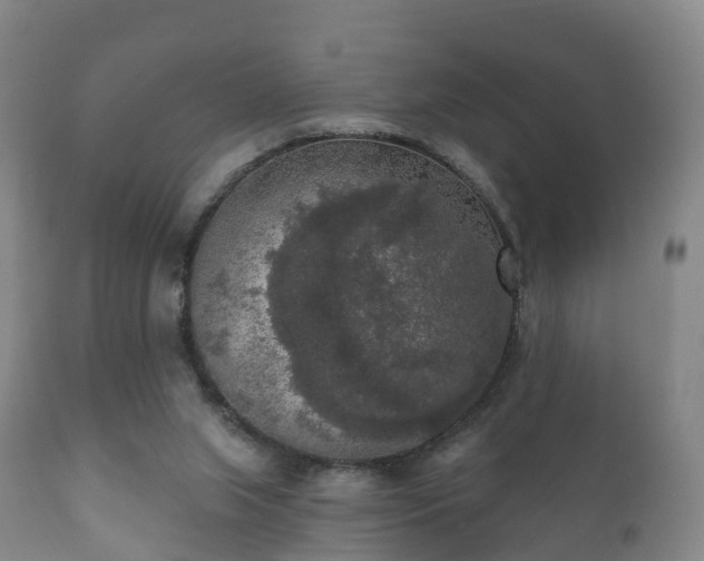 X0000112350063200908201449