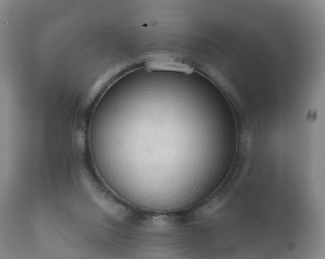 X0000112350064200908201449