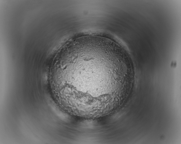 X0000112350065200908201449