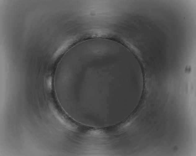 X0000112350067200908201449