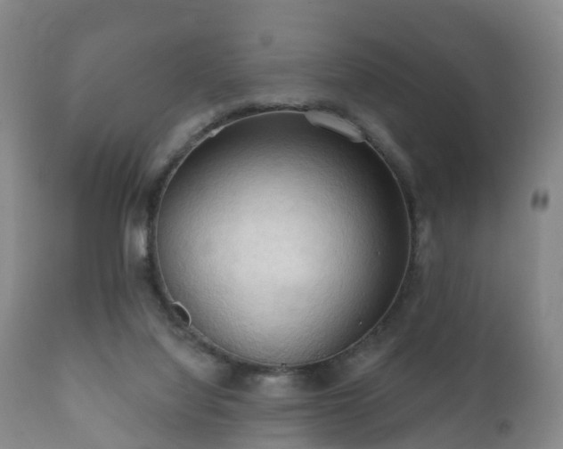 X0000112350068200908201449