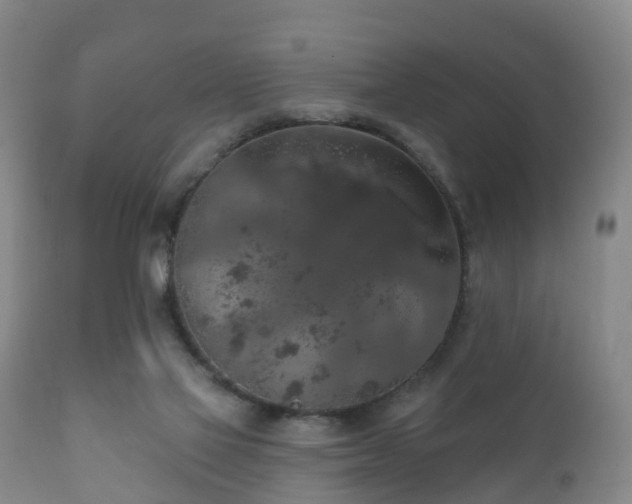 X0000112350069200908201449