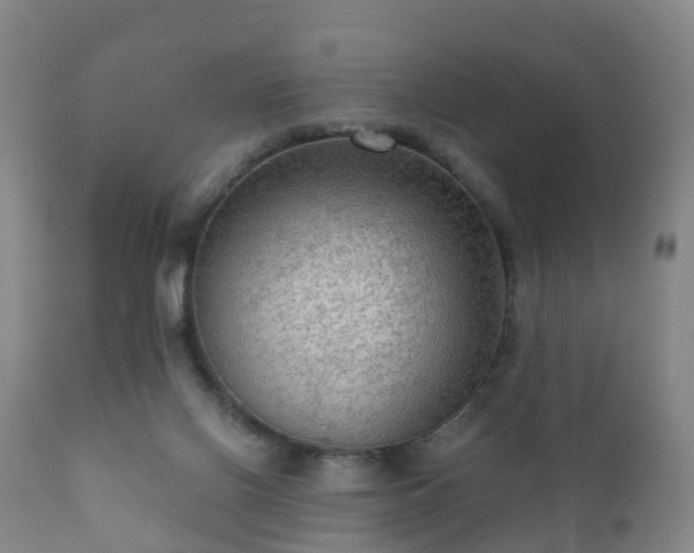 X0000112350070200908201449