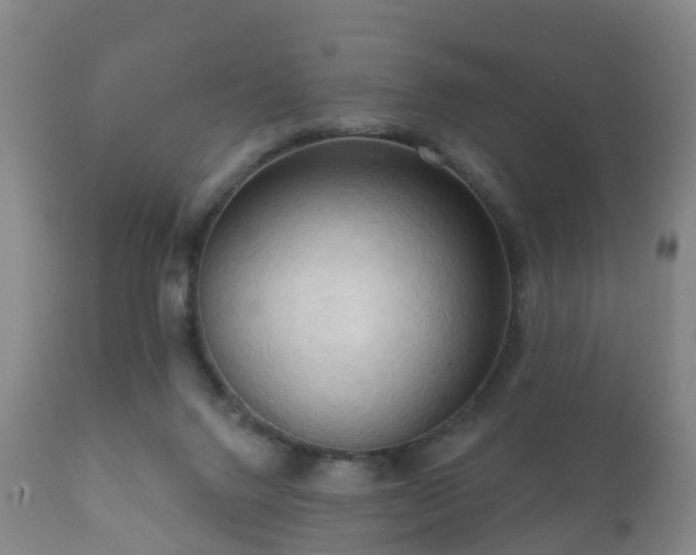 X0000112350072200908201449