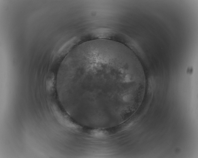 X0000112350073200908201449