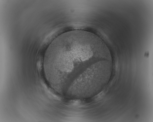 X0000112350074200908201449