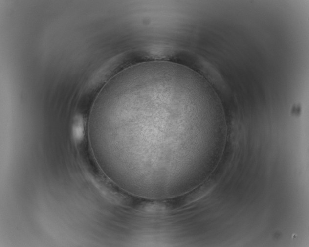 X0000112350075200908201449