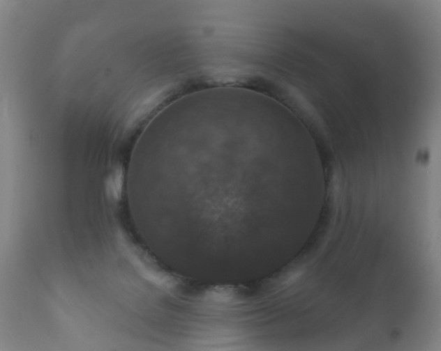 X0000112350076200908201449