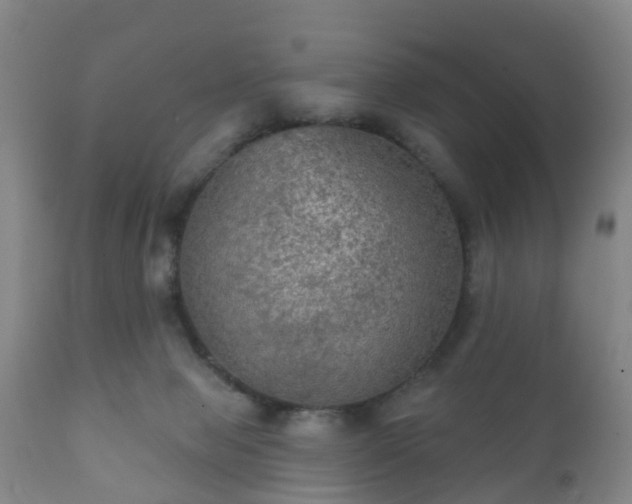 X0000112350077200908201449