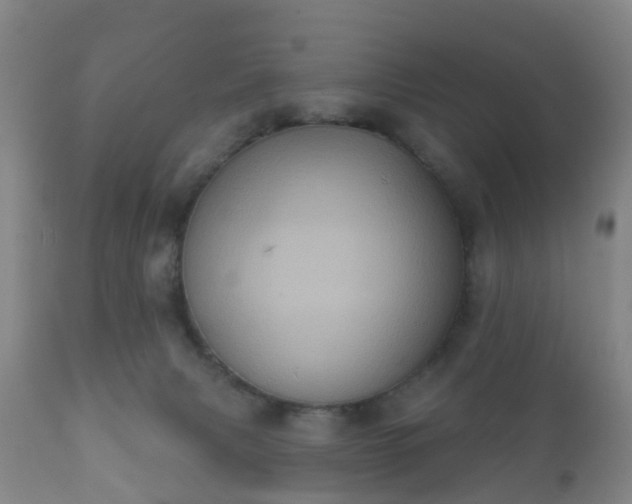 X0000112350079200908201449