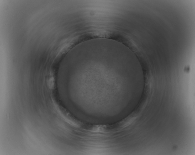 X0000112350080200908201449