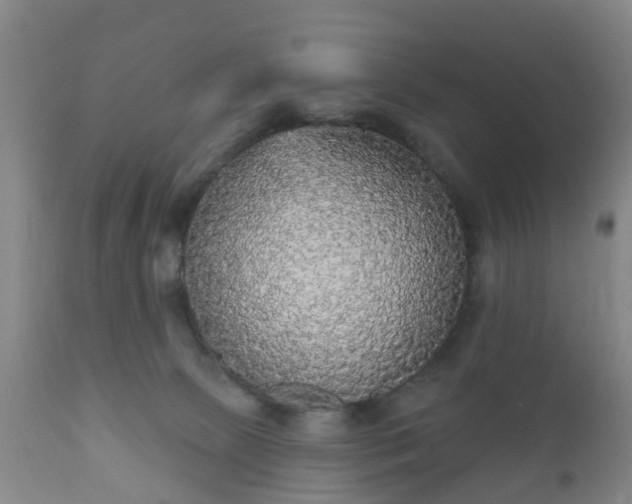 X0000112350081200908201450
