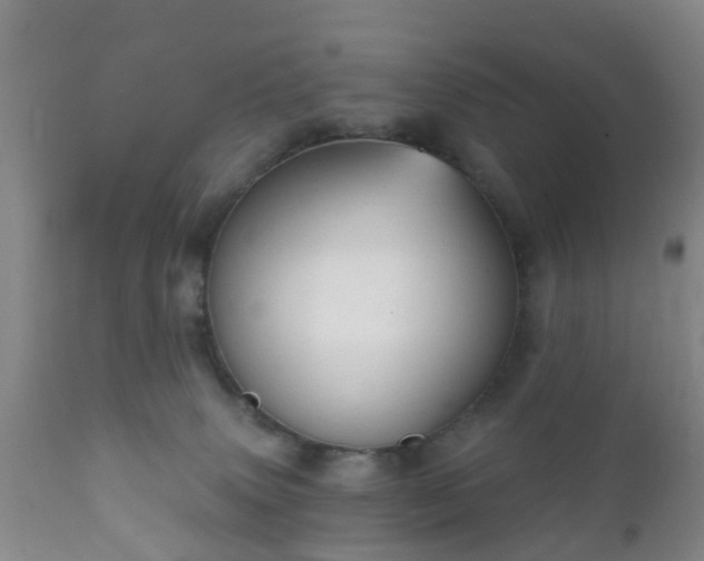X0000112350083200908201450