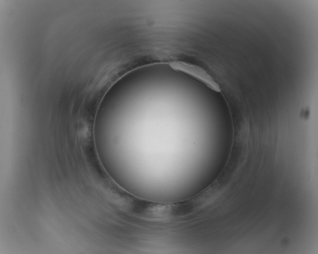 X0000112350084200908201450