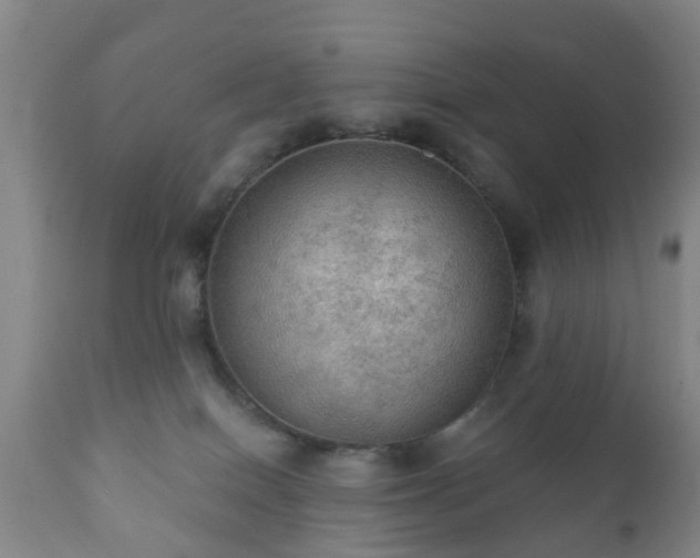 X0000112350086200908201450