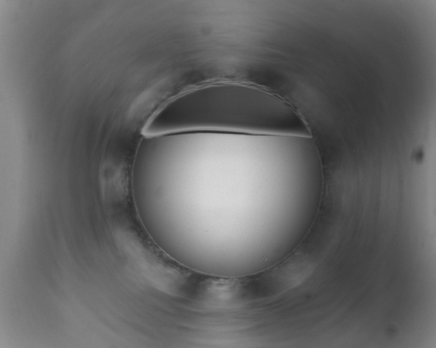 X0000112350088200908201450