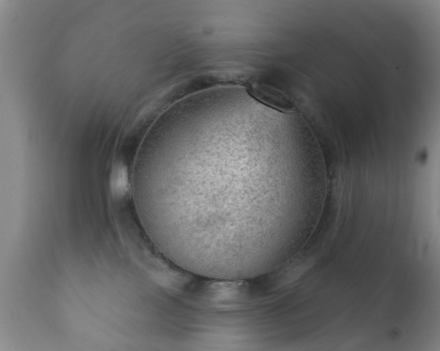 X0000112350089200908201450