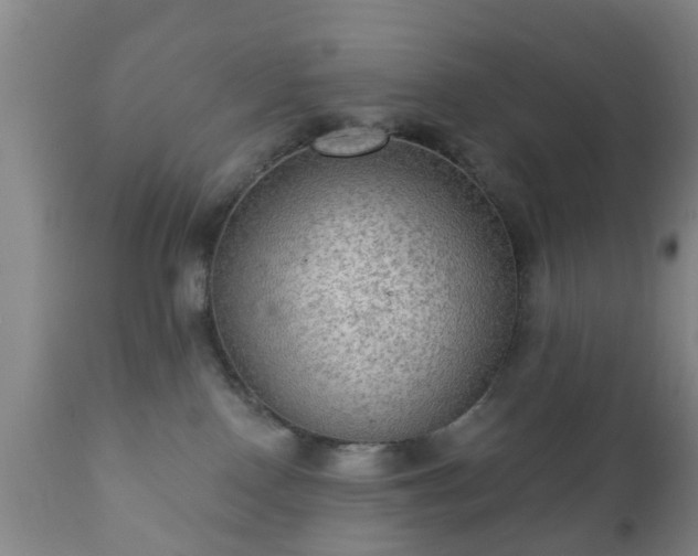 X0000112350090200908201450