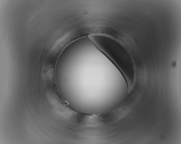 X0000112350092200908201450