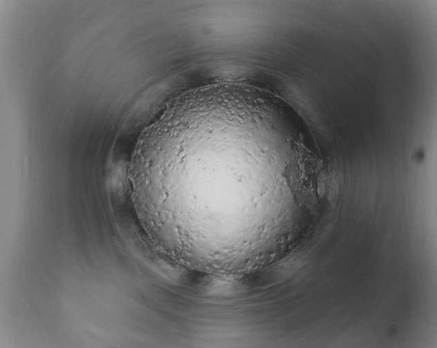 X0000112350093200908201450