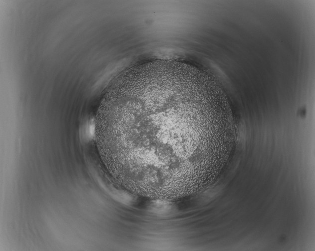 X0000112350095200908201450