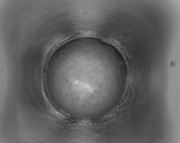 X0000112350097200908201449