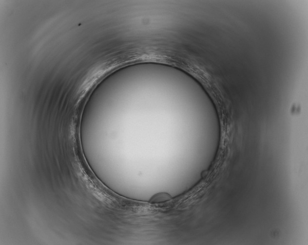 X0000112350098200908201449
