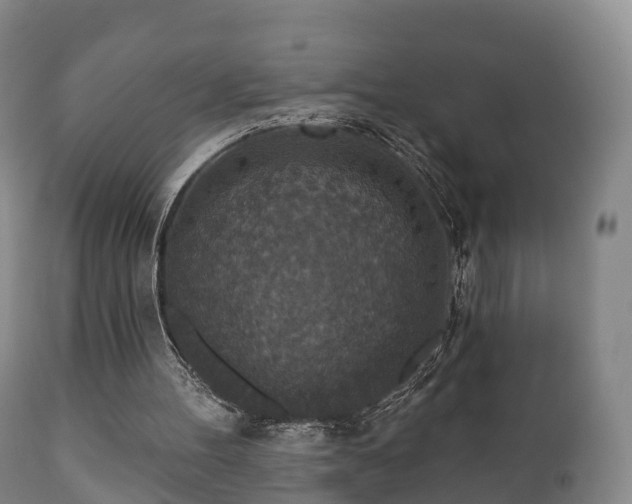X0000112350100200908201449
