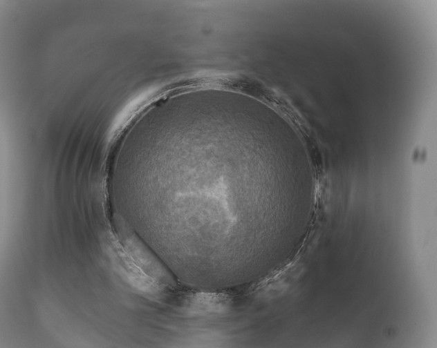 X0000112350101200908201449