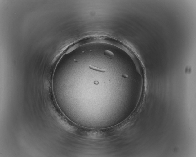 X0000112350105200908201449