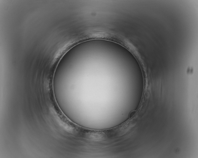 X0000112350106200908201449