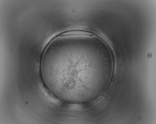 X0000112350107200908201449