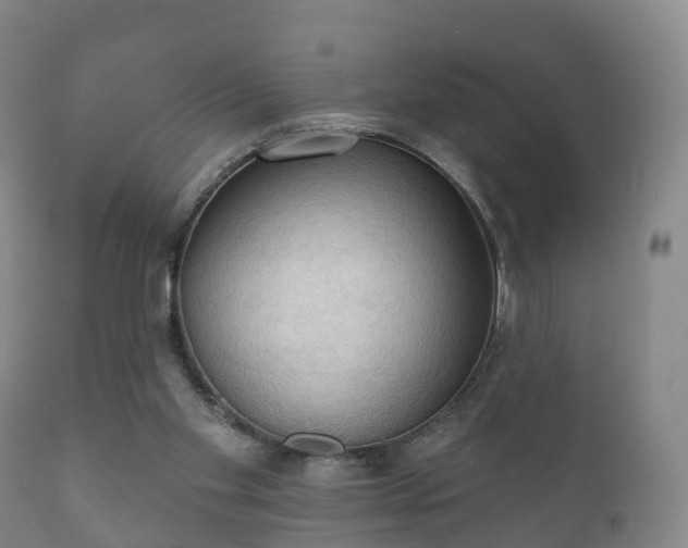 X0000112350109200908201449