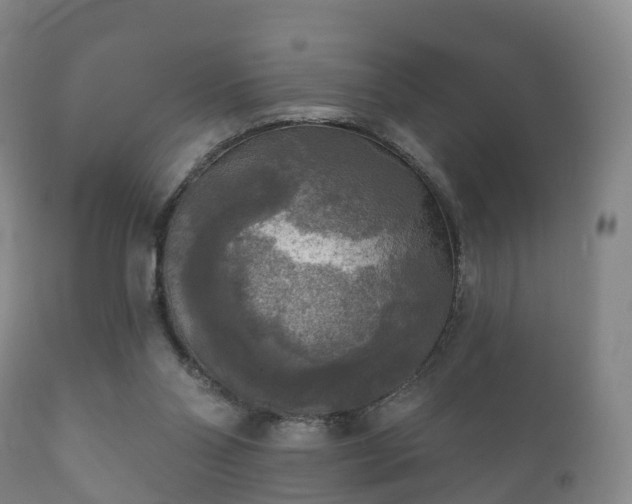 X0000112350110200908201449