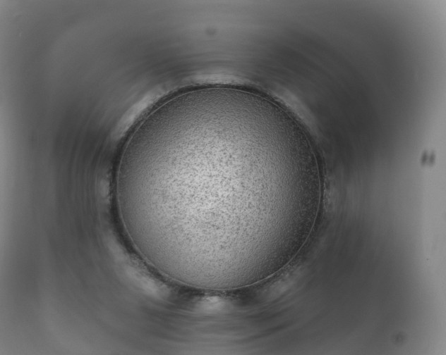 X0000112350111200908201449