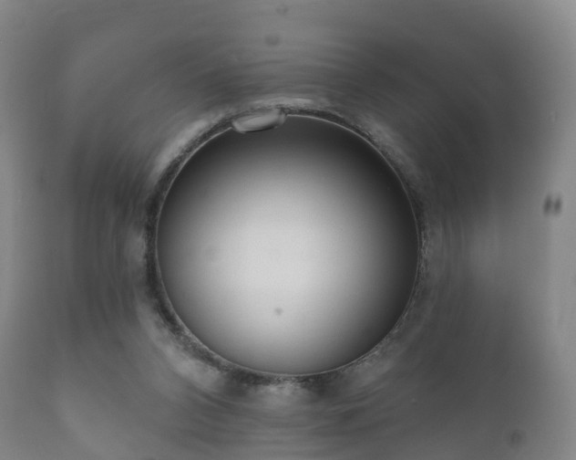 X0000112350112200908201449