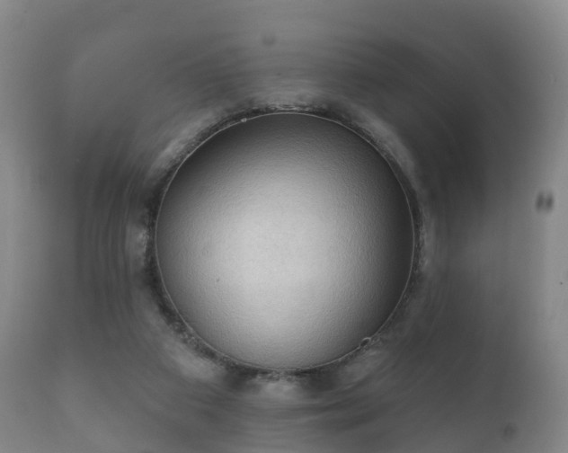 X0000112350113200908201448