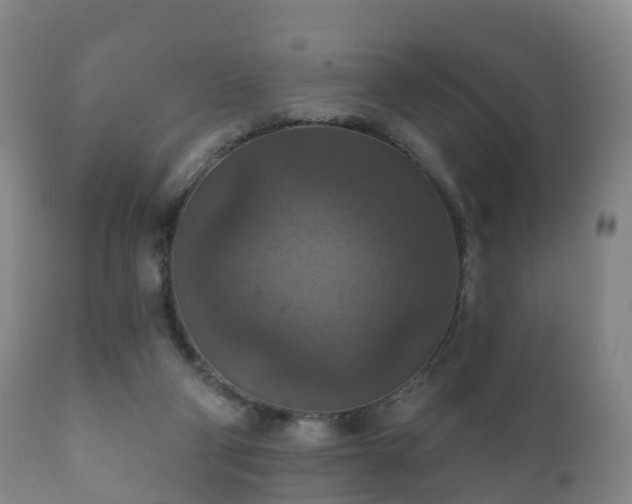 X0000112350114200908201448
