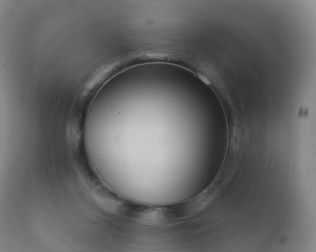 X0000112350116200908201448