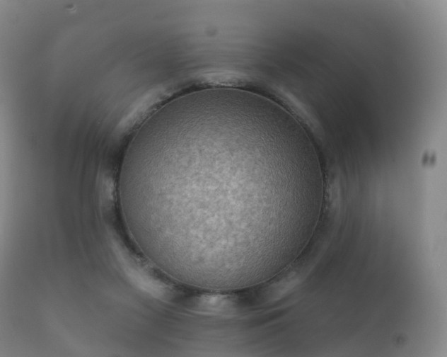 X0000112350117200908201448
