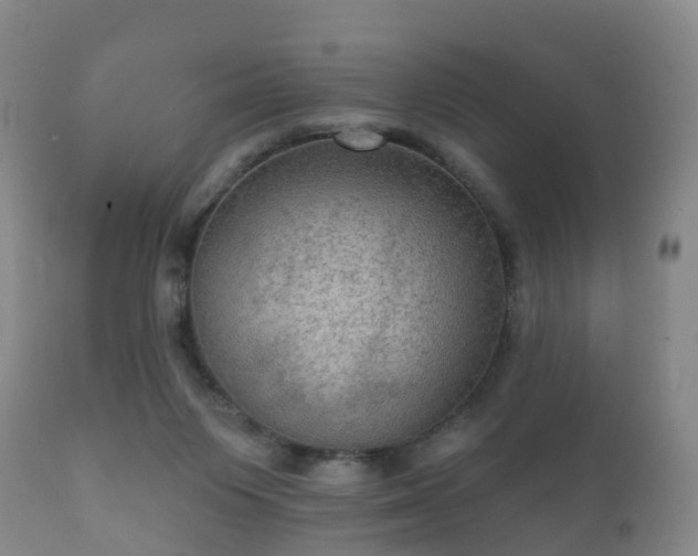 X0000112350119200908201448