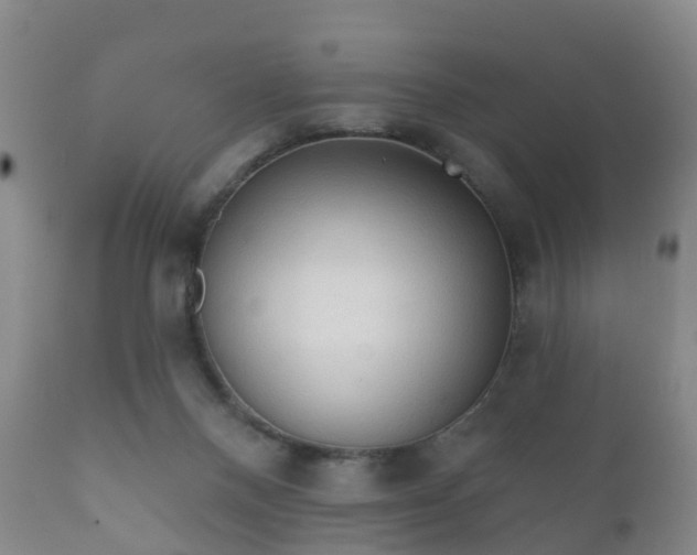X0000112350120200908201448