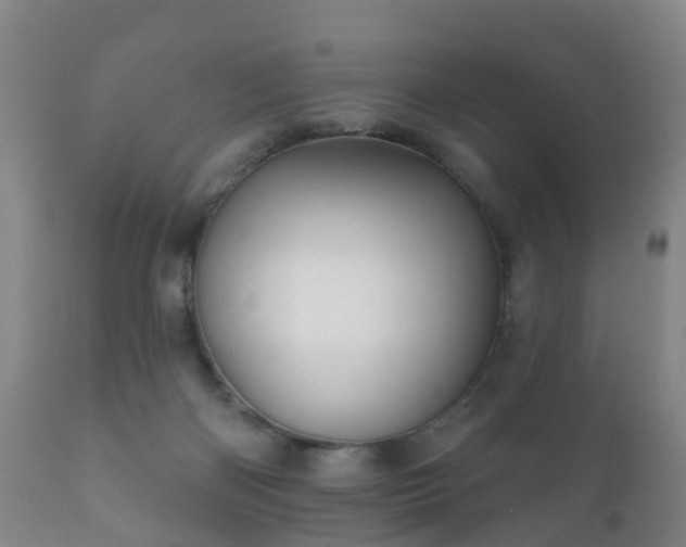 X0000112350122200908201448