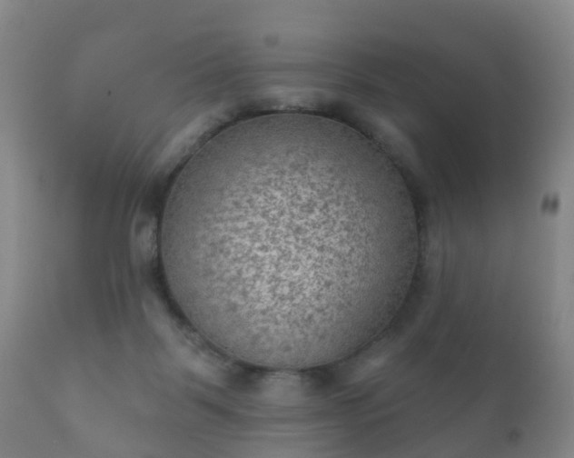 X0000112350123200908201448