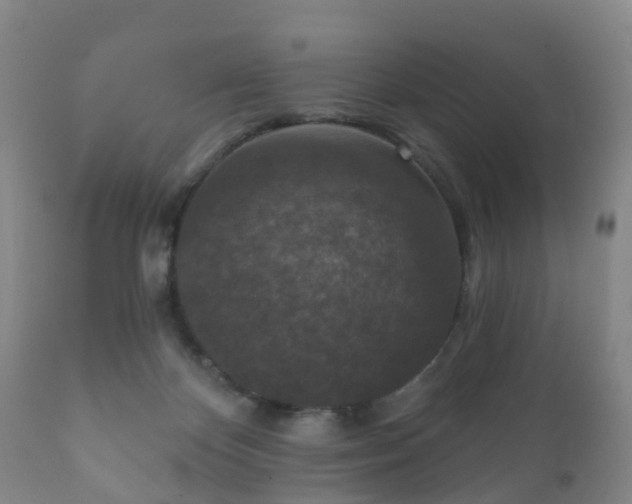 X0000112350124200908201448