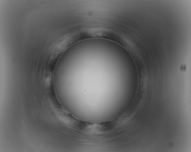 X0000112350125200908201448
